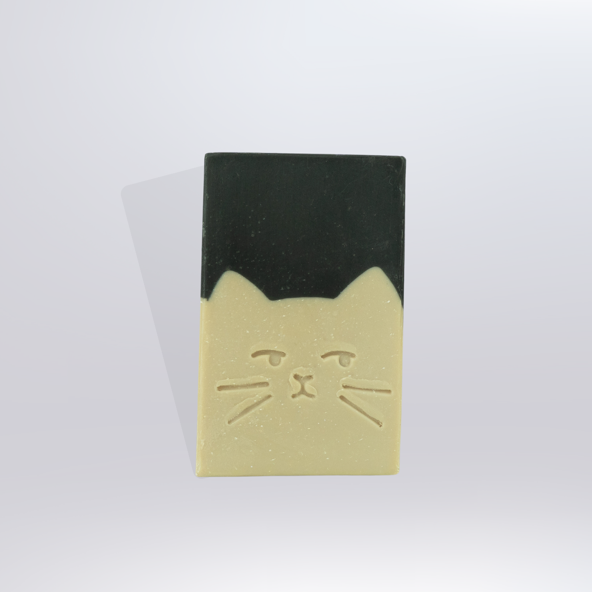 CAT DUDE